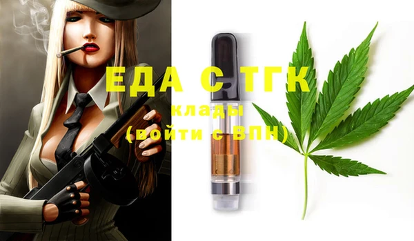 хмурый Алексин