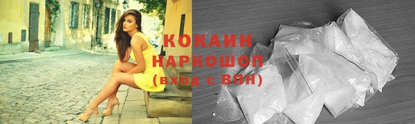 хмурый Алексин