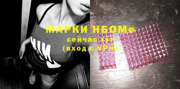 хмурый Алексин