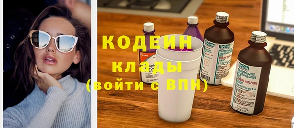 хмурый Алексин