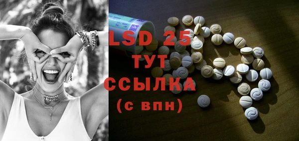 хмурый Алексин