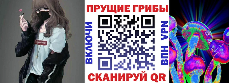 omg вход  Каргат  Галлюциногенные грибы MAGIC MUSHROOMS  как найти закладки 